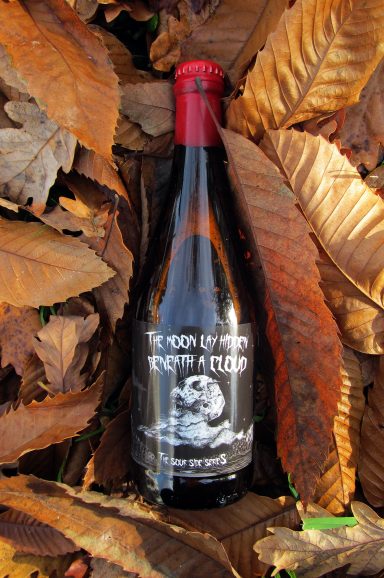 Cerveza artesana diseño