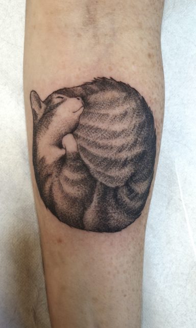 Gato tattoo